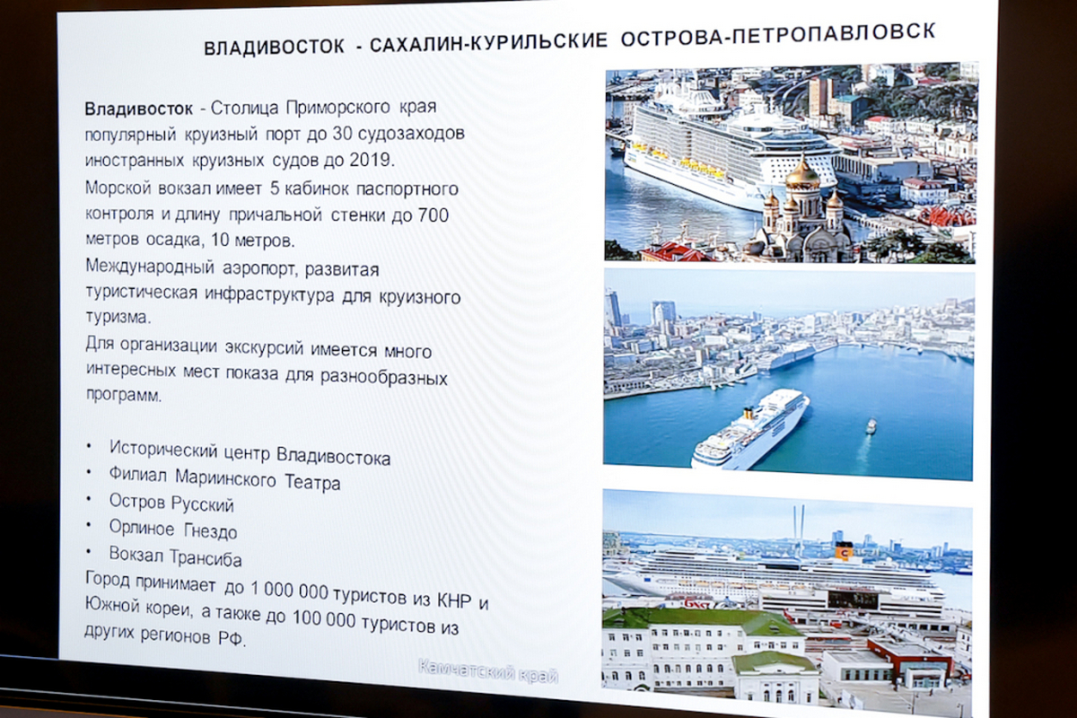 Для круизной линии по трем регионам Дальнего Востока ищут лайнер