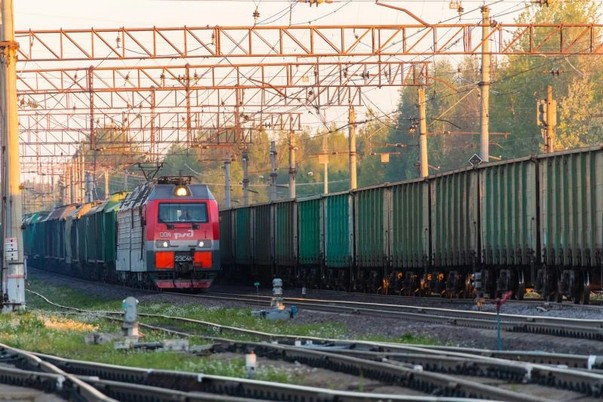 Погрузка на сети РЖД за 7 месяцев 2026 года сократилась на 0,8%