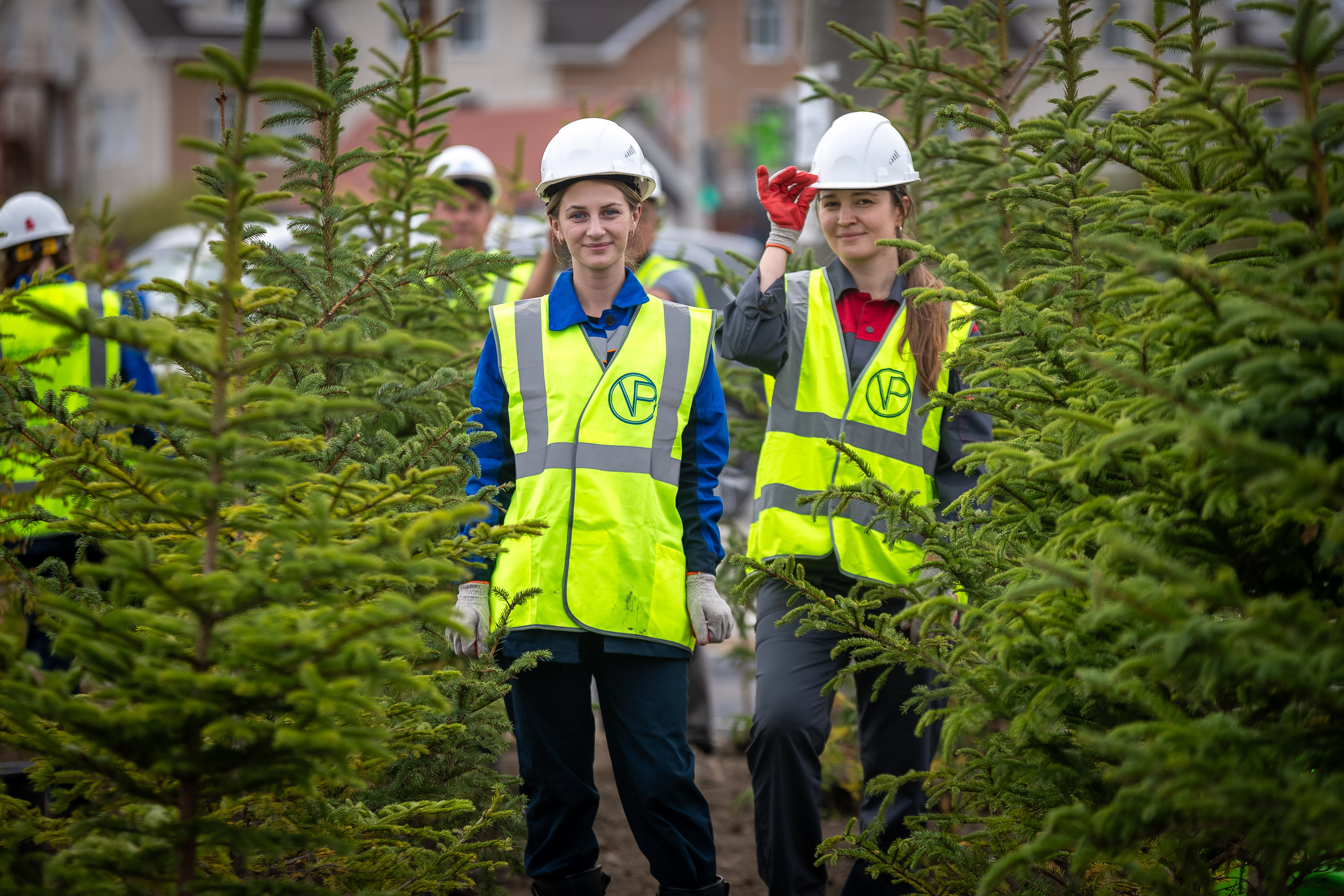 Работники «Восточного порта» высадили сотни саженцев деревьев и кустарников
