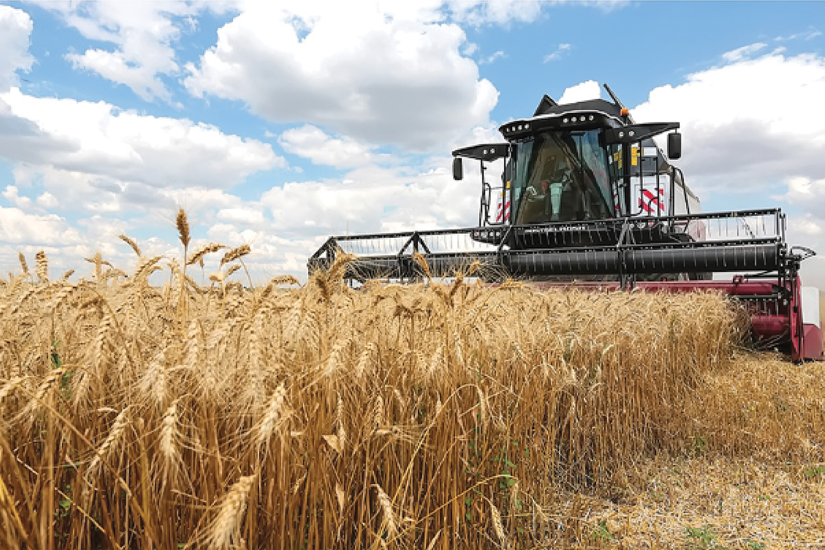 Компактный урожай и умеренный экспорт
