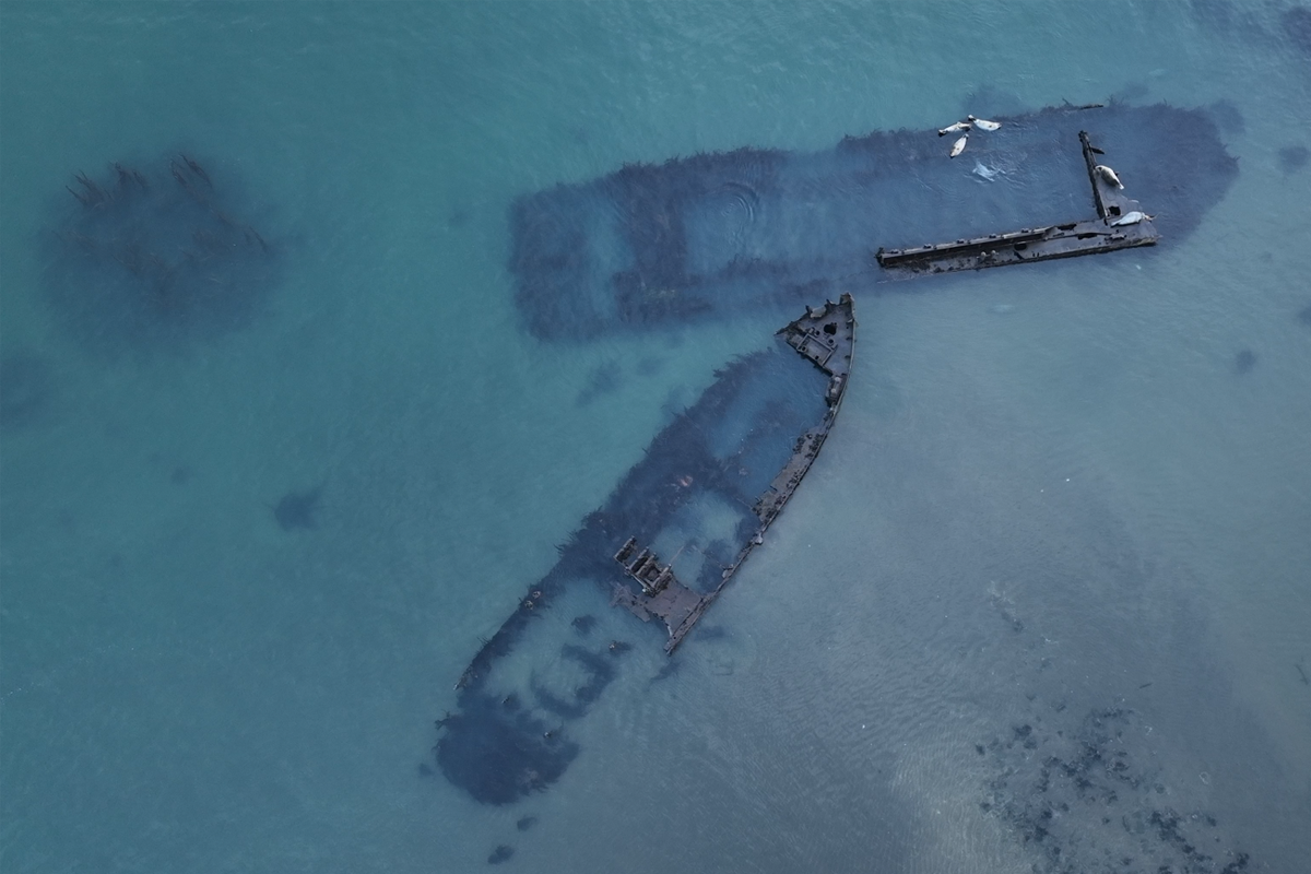 103 затонувших судна поднимут в рамках проекта «Генеральная уборка» до 2030 года