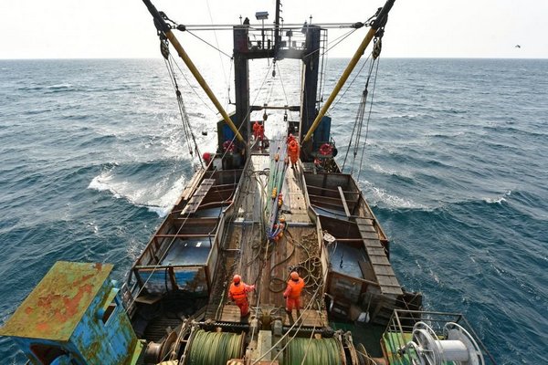 Спустя год ограничений Китай вновь принимает российскую рыбу навалом