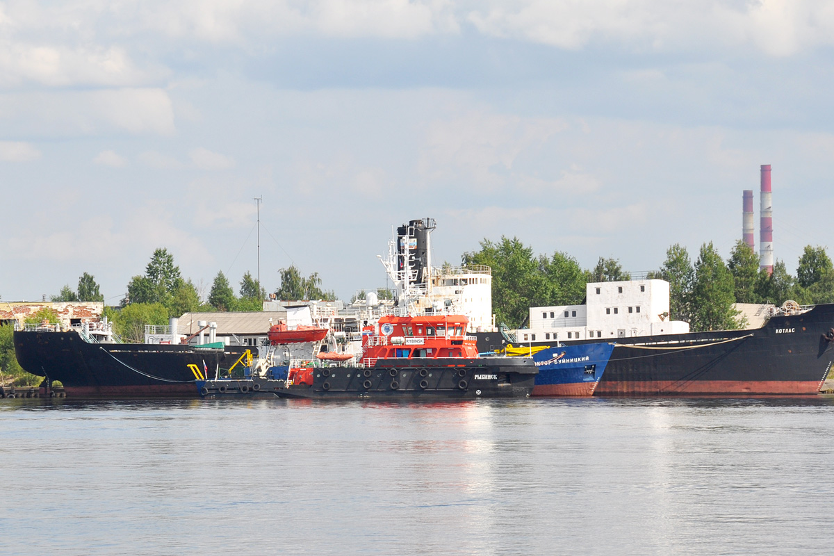 На реках и морях не хватает флота, в портах - пропускной способности железных дорог - мнение