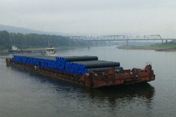 В Совете Федерации представили концепцию развития грузоперевозок по Амуру 
