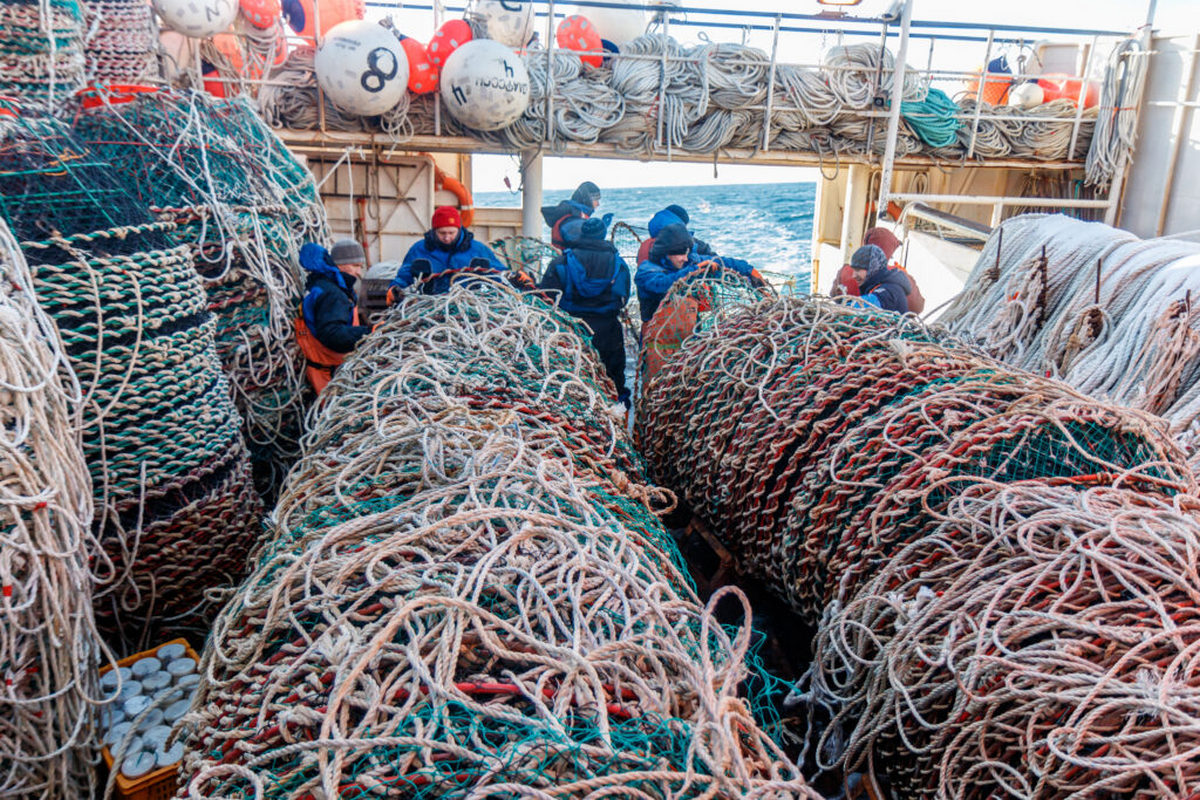 Президент дал поручения по стимулированию рыбного промысла