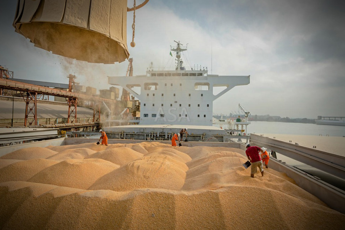 Ж/д подходы к портам, субсидии и речные маршруты - драйверы экспорта зерновых