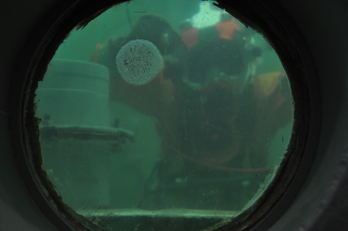 Минтранс РФ: пересмотр Правил подводных осмотров судов нецелесообразен «до стабилизации обстановки»