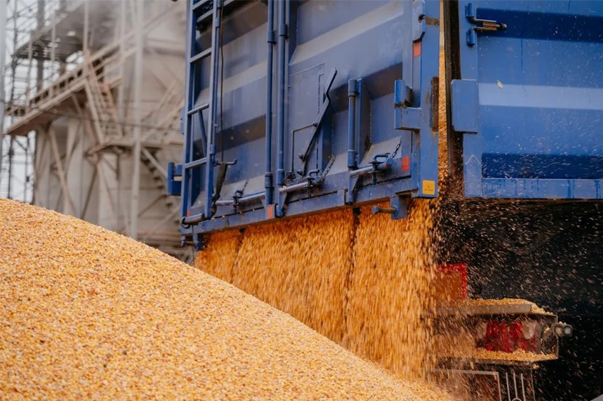 «Черный список» недобросовестных автоперевозчиков создали зерновые терминалы Азово-Черноморского бассейна 