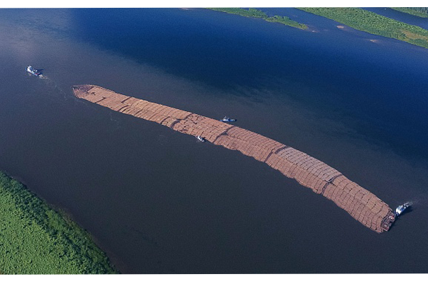 Из устья Ангары по Енисею отправился в Дудинку 800-метровый плот с древесиной