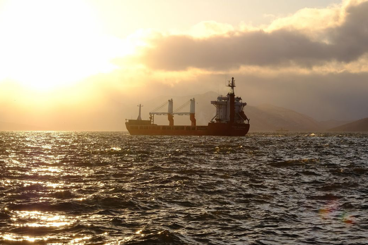Камчатское морское пароходство перешло в собственность РФ Камчатское морское пароходство перешло в собственность РФ