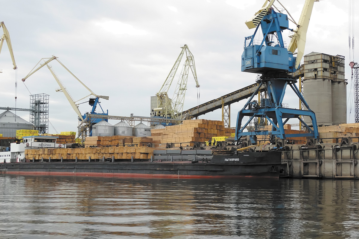 Лесной комплекс: трансформация ценой эффективности