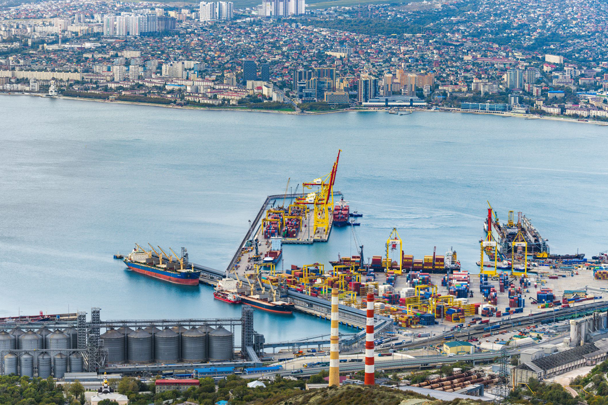 Терминалы «ДелоПортс» в 2025 году увеличили контейнерооборот, но сократили перевалку зерна